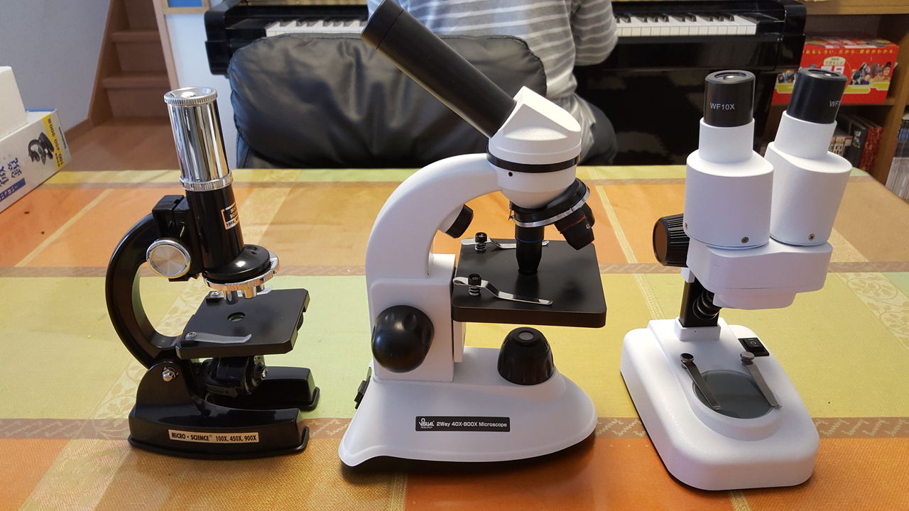 月いち 理科実験教室 今日は顕微鏡の使い方 ひでひまかぁさんのholoholo写真日記