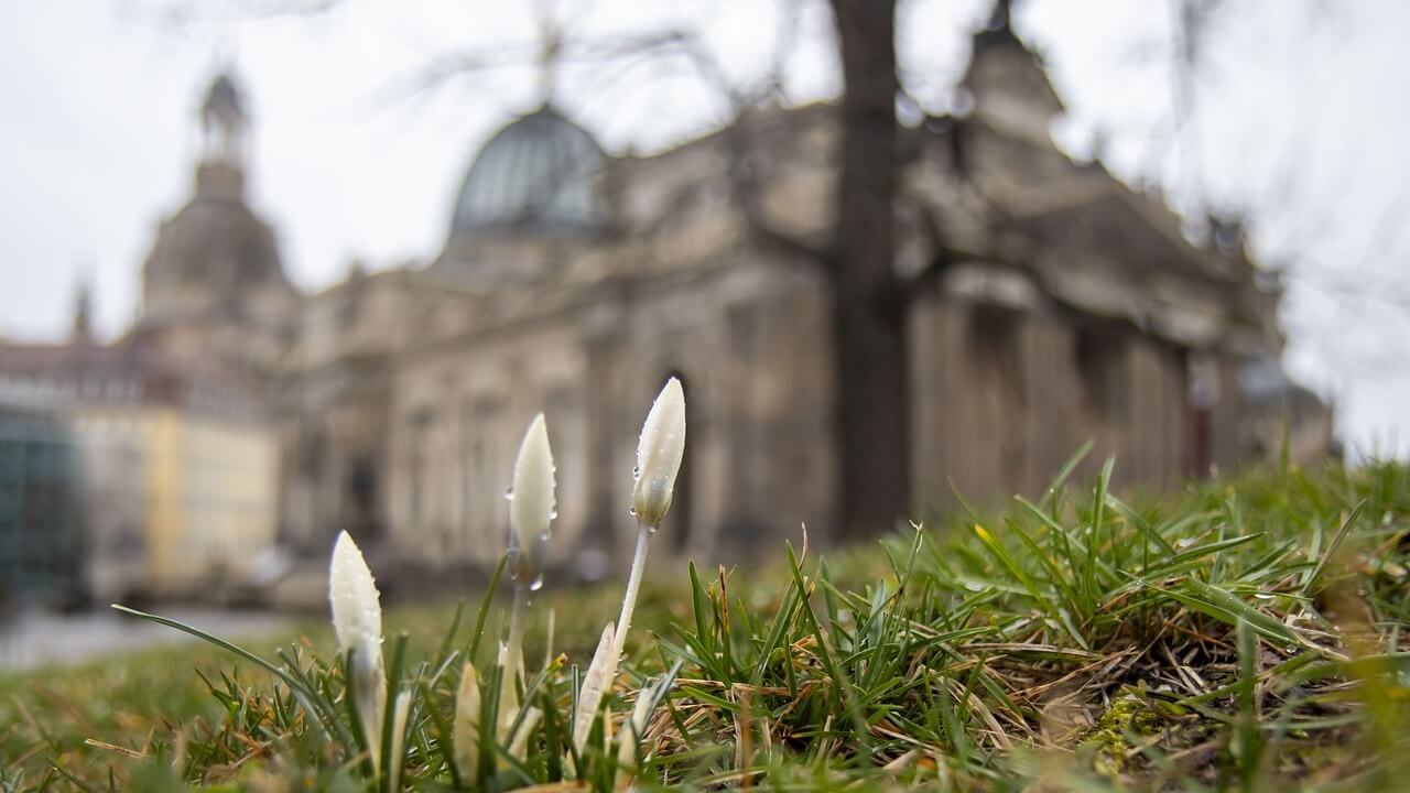 0618the-beginning-of-spring-4885642_1280