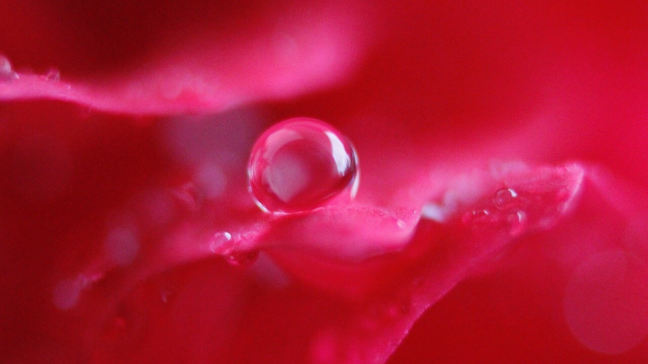 0721drop-of-water-178892_1280