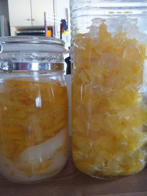 今日の七海ちゃんと甘夏を使って 天使からの贈り物