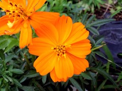 �֤����ӡ��Ҥޤ�������