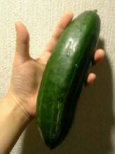 �����������ä�