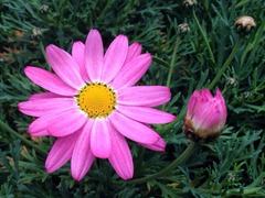 ����������夲