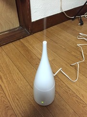 ��ú��ʮ��