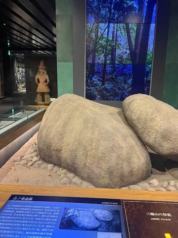 Ԣ�ܱ���ʪ�ۤ���1