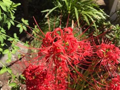 �в񤤤��ͤ��Ѥ��Ƥ���