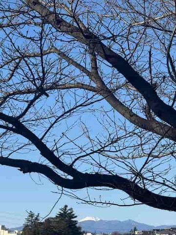 Ϸ�����٤餻��