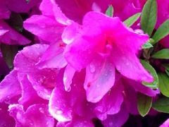 20140513