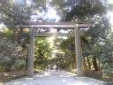 明治神宮