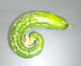 ���夦��Ϥ줿