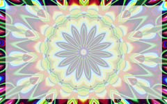 ���ͤ�ư��������