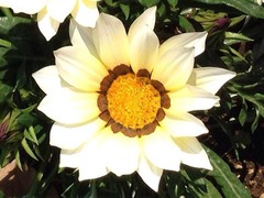 �ۥᥪ�ѥ��������Ƥޤ�