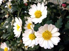 �����ƤƤ褫�ä�