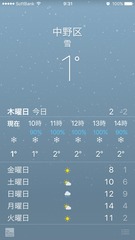 11��ν����ư������