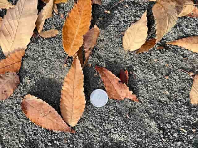 1�߶̤򸫤Ĥ��ޤ���