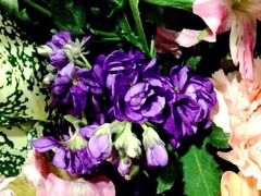 ��ú����Ǥ�������