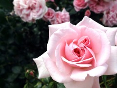 �������ϤФ��