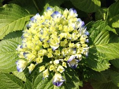 20160618