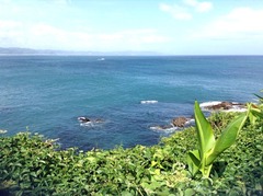 ���֥�ɥ��ɥ�