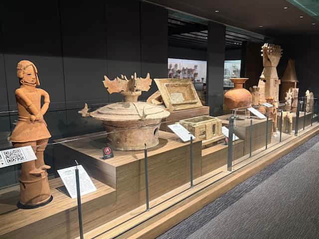 Ԣ�ܱ���ʪ�ۤ���3