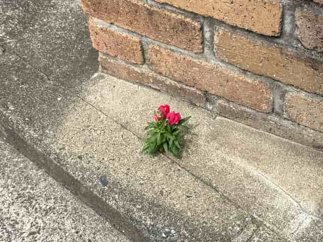 ����������