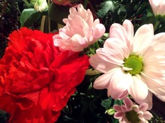 �������³���