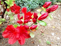 ���������洰��