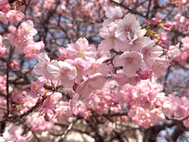 2025ǯ3��饤��ͽ��