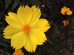 ���������褦�ˤʤ���