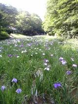 �ʤ��Ѥ���ʤ���