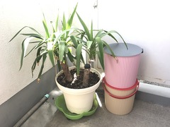 �Х��ĤΥ��᡼�����Ѥ���