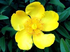 1,000�ߥ�å���