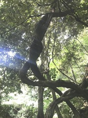 20190902-4