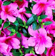 ���ӥ����ȥ�˥塼����