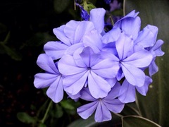 ���Ĥ��Ⱥ��٤ȸ�Ǥϡ��ʤ��ʤ���ʤ�