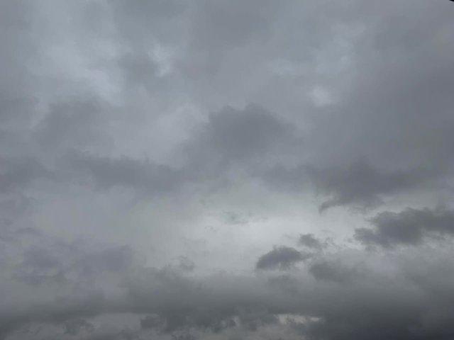 ���Υ��ߥʡ��˻��ä��ޤ���🌟