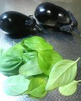 �����顼�ɤΤ褦�ʲػ�