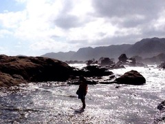 20140815