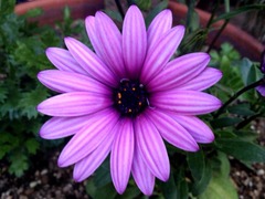 ��������8����