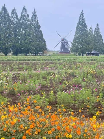 �ޥ�������5�ʳ��ߵ���������Ƥ���