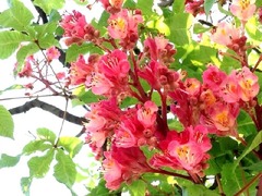 ���������Ѥ߽Ť���