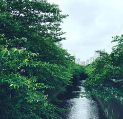 �������ͤˤ�������ʤ��ѥե����ޥ�