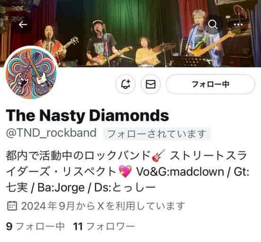 The Nasty Diamonds SNS