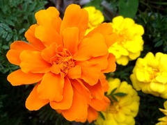 �ϥ��ƥ�����ԡ�