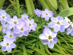 ���ڤʤ�Τ����ڤˤ��褦