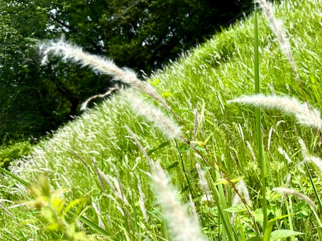 ��ɤη򹯤˻��֥���