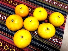 ˭������������