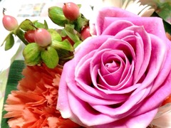 ����󥹤�ƨ����