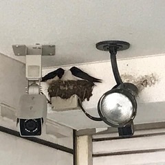 �褤���ؤ���