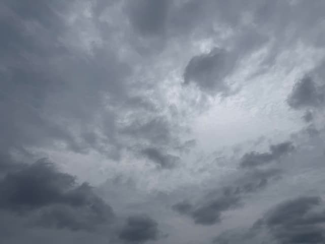 ��äȸ��Ĥ�������